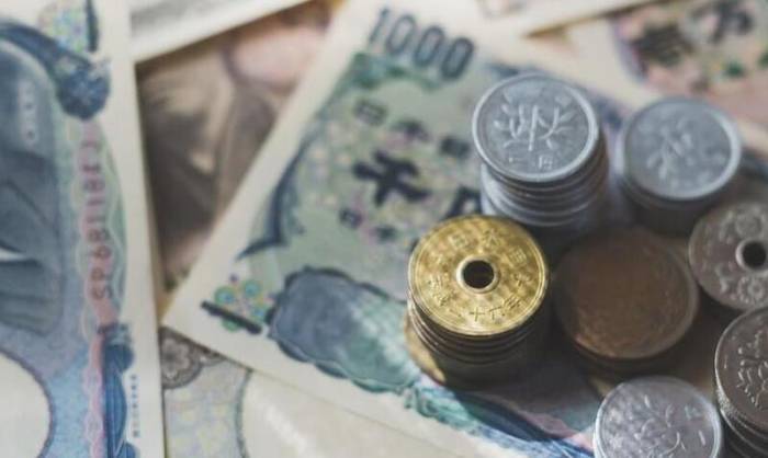 Japan's economy has been up and down for 30 years. What opportunities and warnin