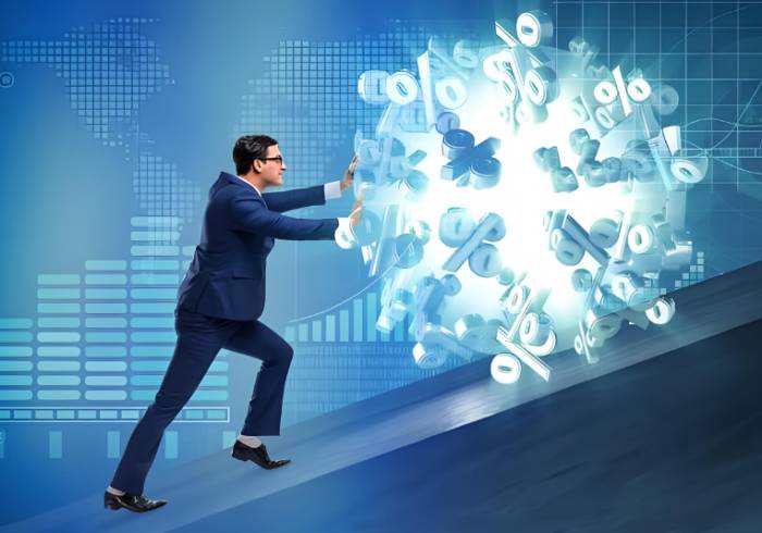 How did the four major growth poles perform in the first half of the year? This