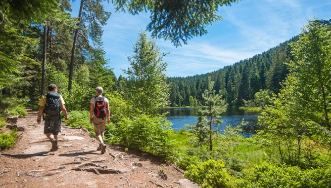 Germany walking tours