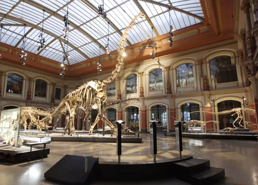 Museum für Naturkunde Berlin