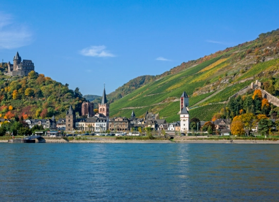 Rhine Valley wine tours