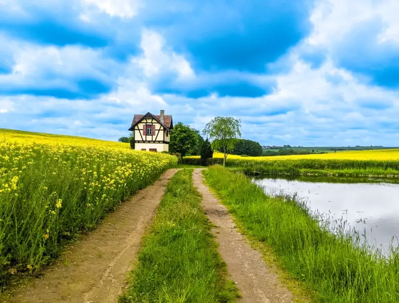 Germany Road Trip Itinerary