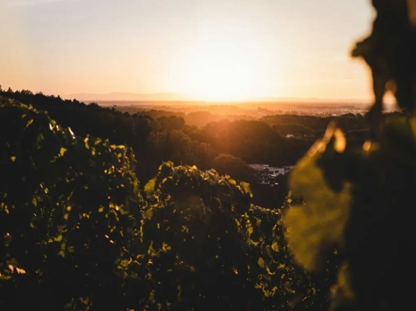 Germany 5 day itinerary