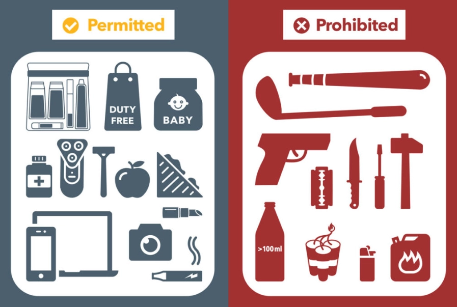 What is prohibited to bring into Germany?