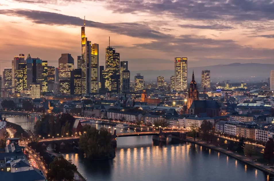 Frankfurt Airport customs wait